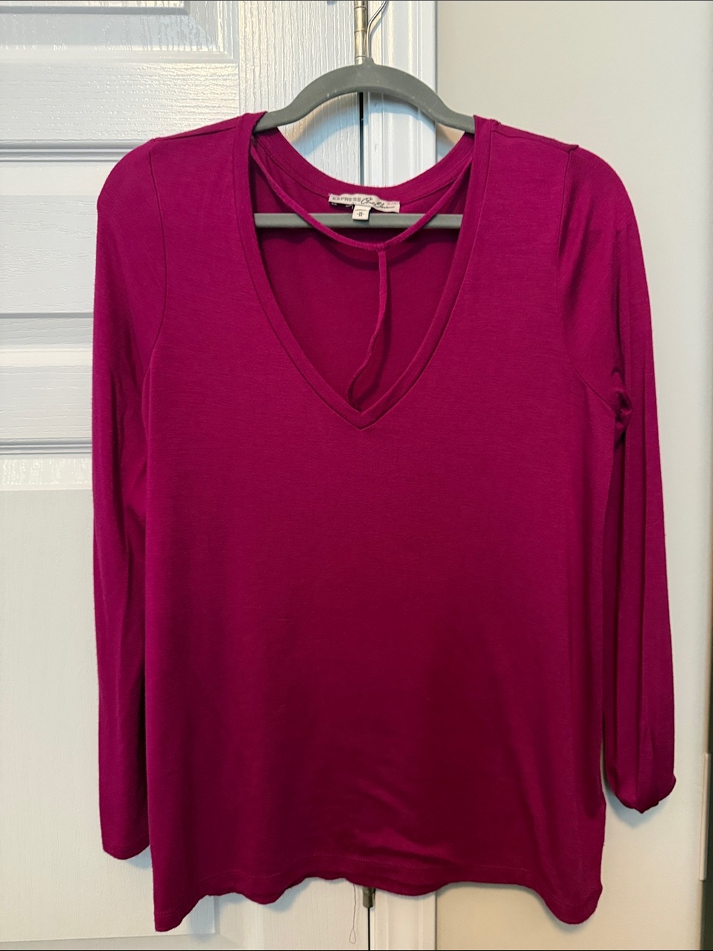Express Long Sleeve V-Neck Top in Berry